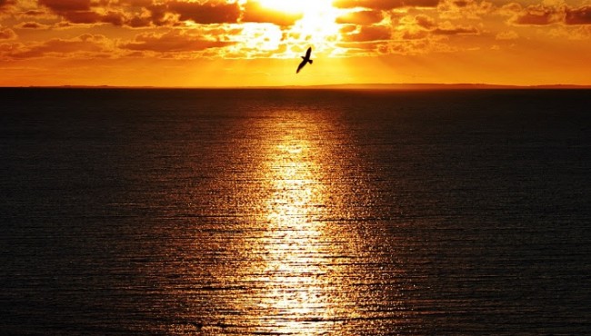 HOY POR &Uacute;LTIMA VEZ